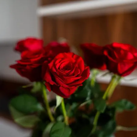 Lejlighed Big - Atal Towers - 3 - Private Parking Place Wrocław