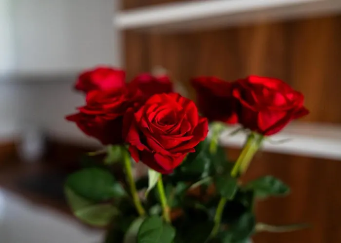 Appartamento Big - Atal Towers - 3 - Private Parking Place Breslavia